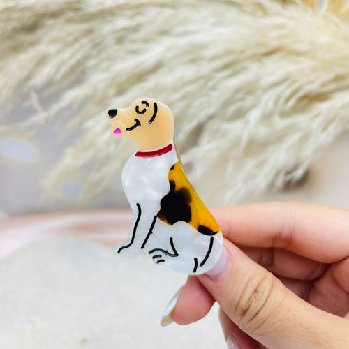Clip Ringo (Perro)