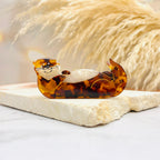 Hairclip Sr.Nutriales