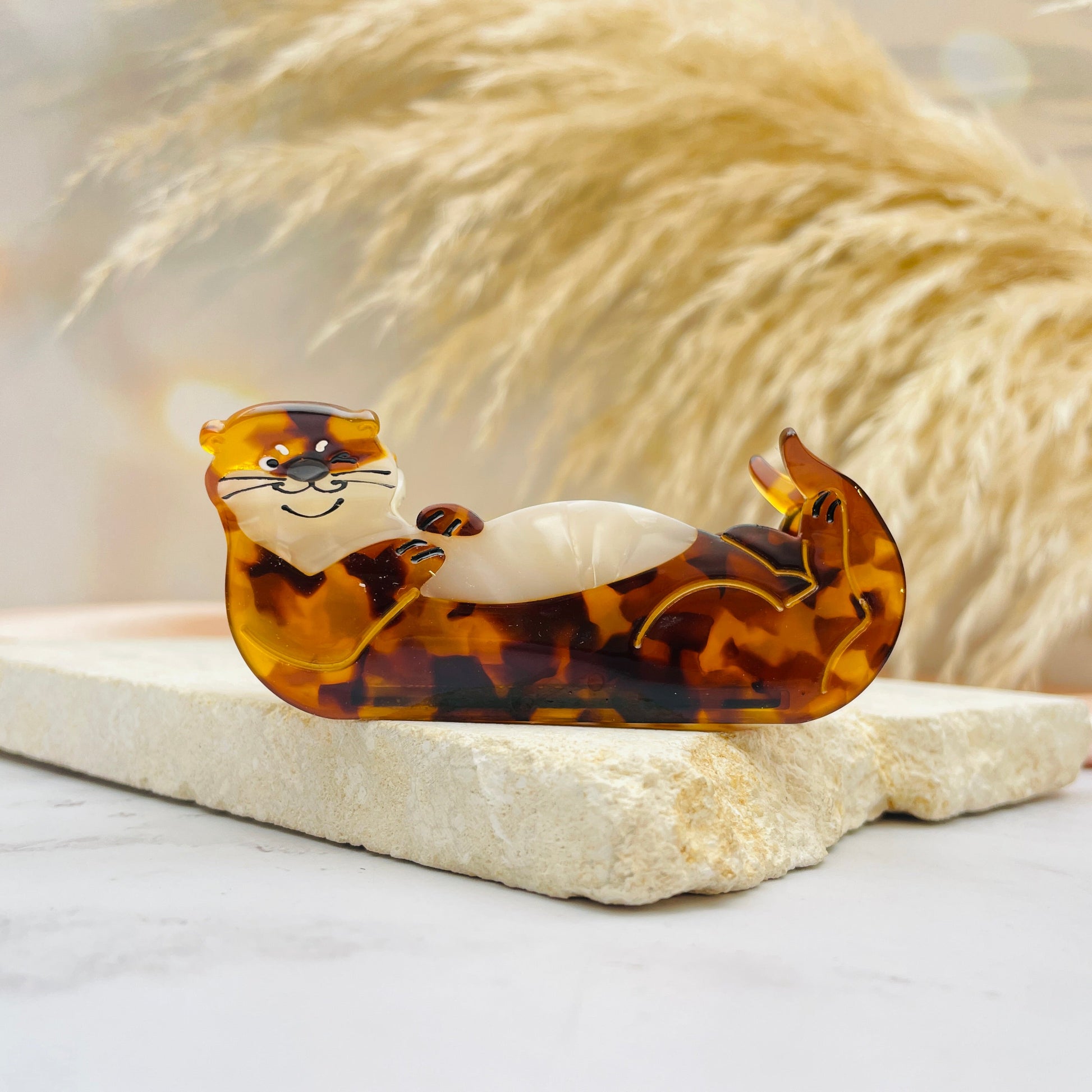 Hairclip Sr.Nutriales