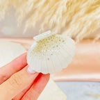 Hairclip Almeja