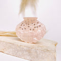 Clam Hairclip