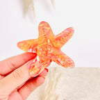 Hairclip Starry (Estrella)