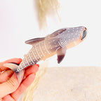Hairclip Destiny (Tiburon Ballena)