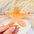 Hairclip Starry